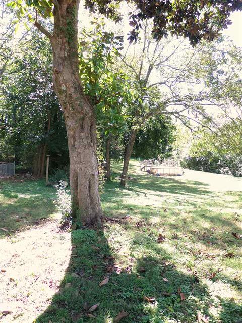 605 W 7th Ave, Easley, SC 29640 photo 31