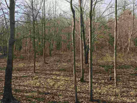 126 Pine Tree Rd, Inman, SC 29349 photo 7