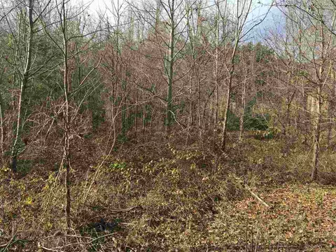 126 Pine Tree Rd, Inman, SC 29349 photo 5