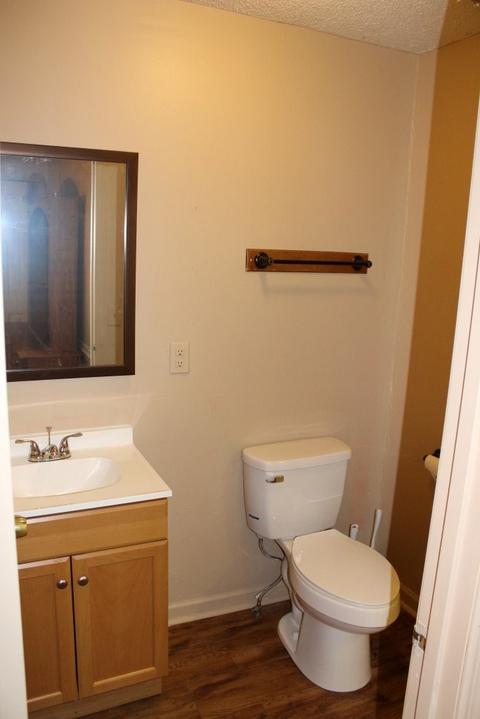 6848 Peniel Rd, Columbus, NC 28722 photo 18