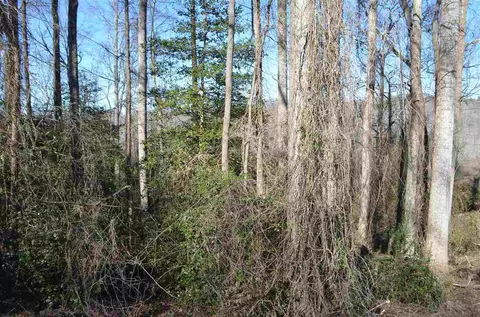 5 Lantern Dr, Greer, SC 29651 photo 10