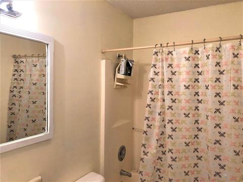 110 Peccole Pass, Moore, SC 29369 photo 16