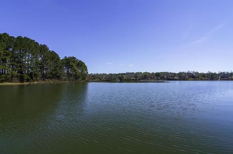 451 Bub Dr, Chesnee, SC 29323 photo 26