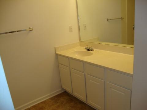 449 Brighton Woods, Spartanburg, SC 29303 photo 6