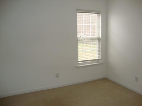 449 Brighton Woods, Spartanburg, SC 29303 photo 11