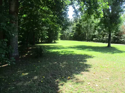 161 Stevens Rd, Buffalo, SC 29321 photo 21