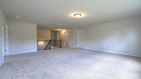 103 Willowbottom Dr, Greer, SC 29651 photo 14