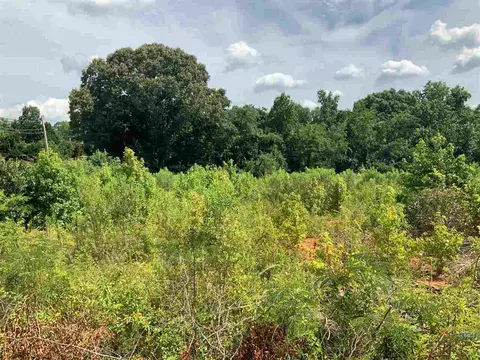 0 Conway Ave, Laurens, SC 29360