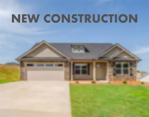 1174 Springdale Rd, Mayo, SC 29368 photo 1