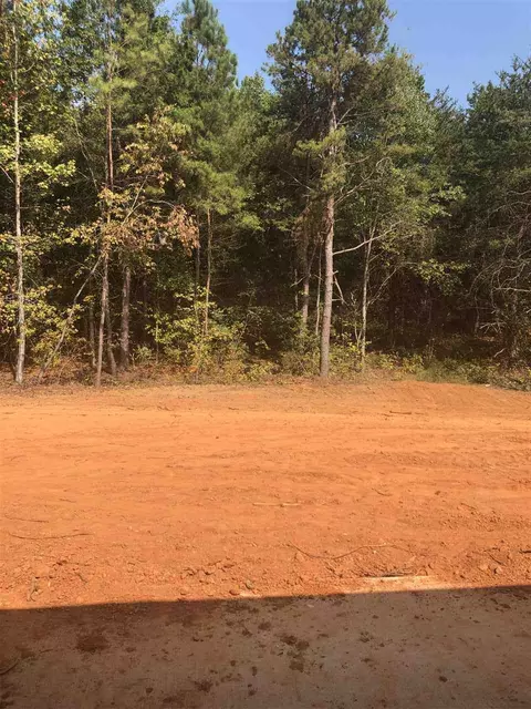 1174 Springdale Rd, Mayo, SC 29368 photo 18