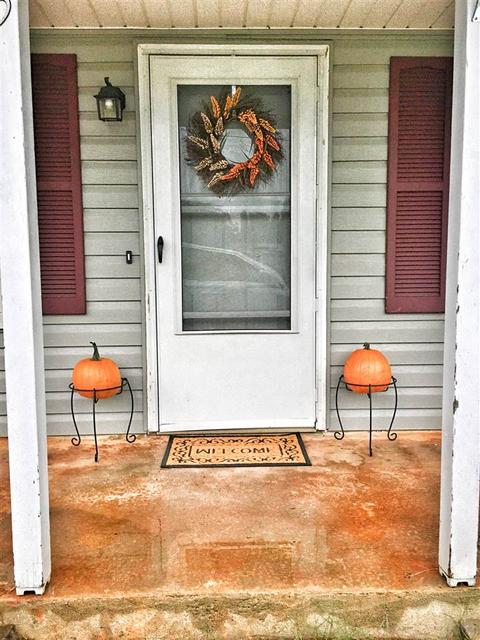 255 Wolfe Ln, Inman, SC 29349 photo 3