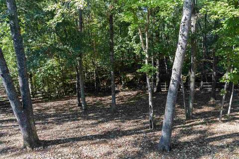 332 Meathward Cir, Moore, SC 29369 photo 36