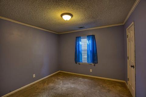 100 E Celestial Dr, Greer, SC 29651 photo 12