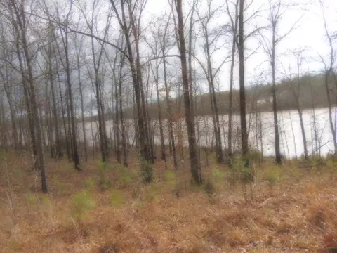 213 Drayton Way, Hodges, SC 29653 photo 2