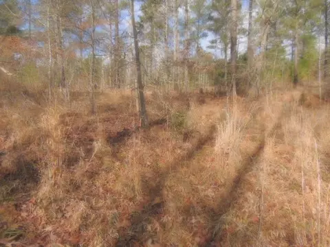 213 Drayton Way, Hodges, SC 29653 photo 4