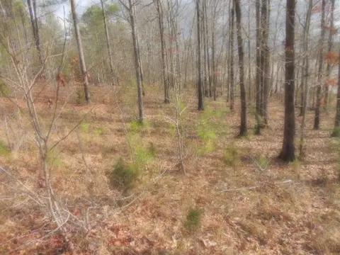213 Drayton Way, Hodges, SC 29653 photo 3