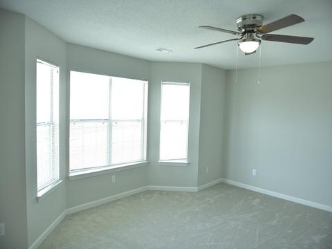 258 Cornelson Dr, Greer, SC 29651 photo 19