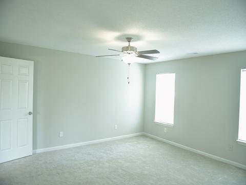 258 Cornelson Dr, Greer, SC 29651 photo 13