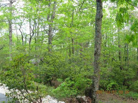 80 Eagle Feather Dr, Columbus, NC 28722 photo 16