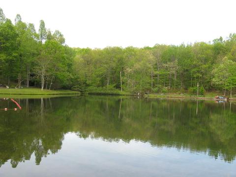 80 Eagle Feather Dr, Columbus, NC 28722 photo 26