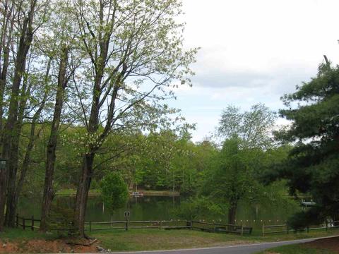 80 Eagle Feather Dr, Columbus, NC 28722 photo 28