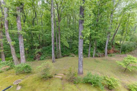 255 Beau Vly, Tryon, NC 28782 photo 31