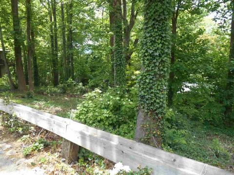 90 Bickford Ave, Tryon, NC 28782 photo 33