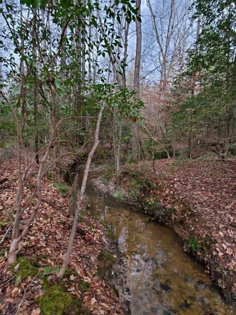 382 Rolling Mill Rd, Gaffney, SC 29340 photo 25