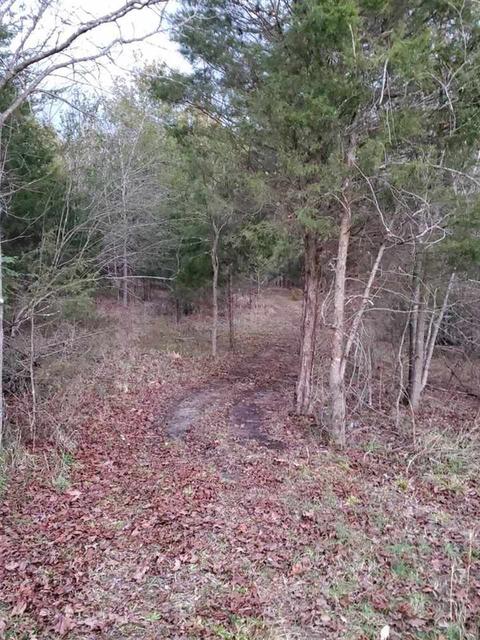 382 Rolling Mill Rd, Gaffney, SC 29340 photo 27