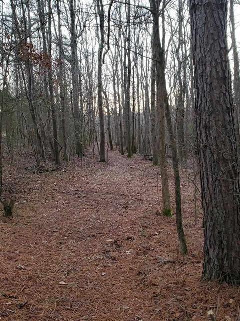 382 Rolling Mill Rd, Gaffney, SC 29340 photo 26
