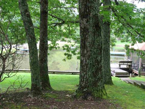 89 Eagle Feather Dr, Columbus, NC 28722 photo 33