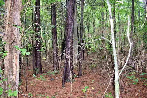 1390 Watson Rd, Enoree, SC 29335 photo 9