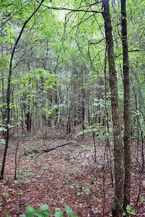 1390 Watson Rd, Enoree, SC 29335 photo 5
