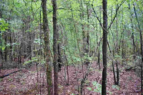 1390 Watson Rd, Enoree, SC 29335 photo 6