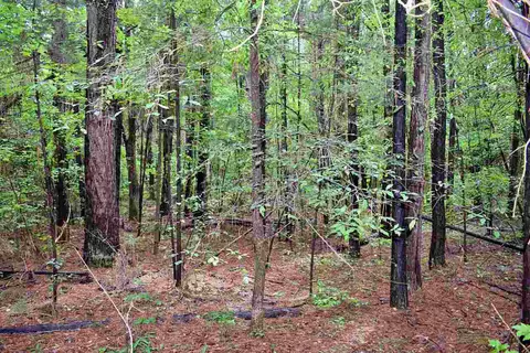 1390 Watson Rd, Enoree, SC 29335 photo 10