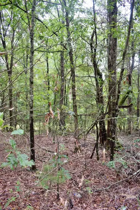 1390 Watson Rd, Enoree, SC 29335 photo 1