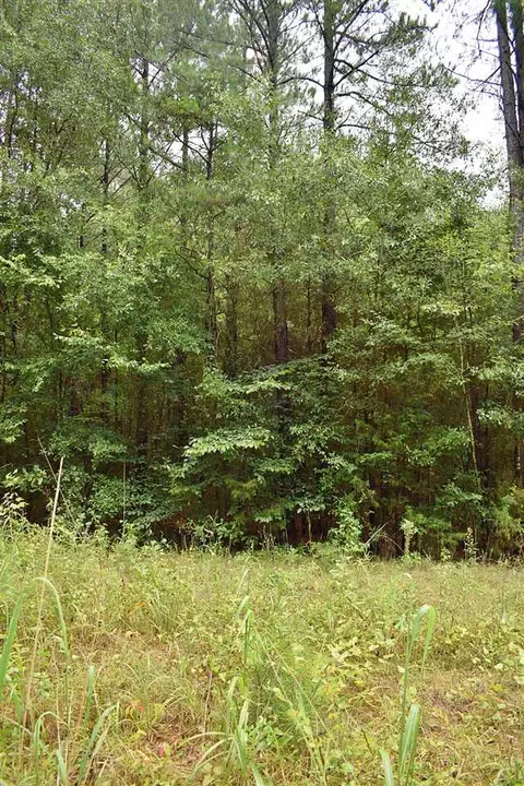 1390 Watson Rd, Enoree, SC 29335 photo 4