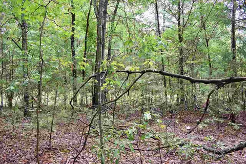 1390 Watson Rd, Enoree, SC 29335 photo 2