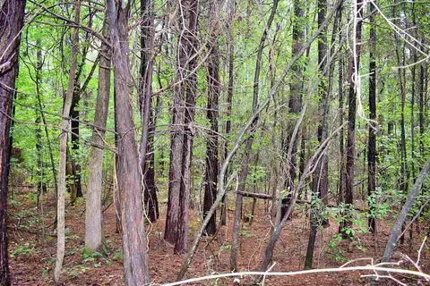 1390 Watson Rd, Enoree, SC 29335 photo 7