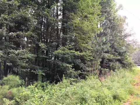 160 Watson Ave, Inman, SC 29349 photo 5