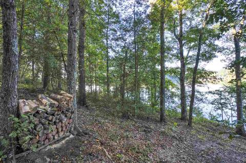240 Skyline Dr, Chesnee, SC 29323 photo 28