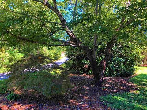 471 Chapel Rd, Greer, SC 29651 photo 11