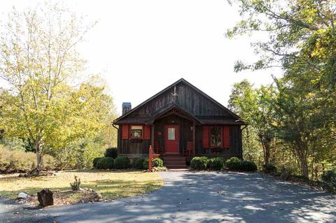 446 Fallen Tree Ln, Mill Spring, NC 28756 photo 1