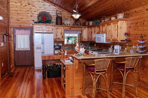 446 Fallen Tree Ln, Mill Spring, NC 28756 photo 4
