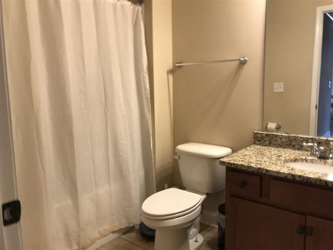 209 Moonstone Ln, Duncan, SC 29334 photo 17