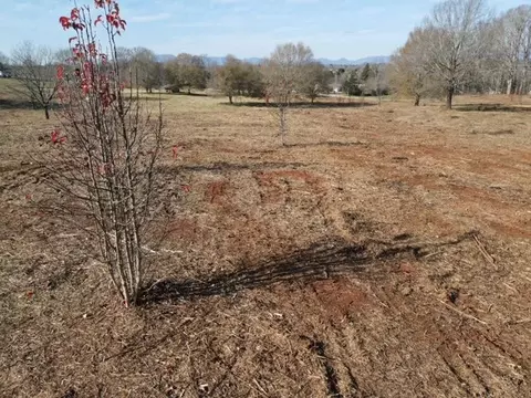 580 Christopher Rd, Campobello, SC 29322 photo 10