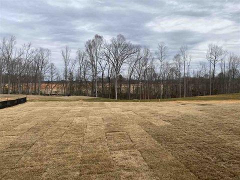 970 Equine Dr, Roebuck, SC 29376 photo 8