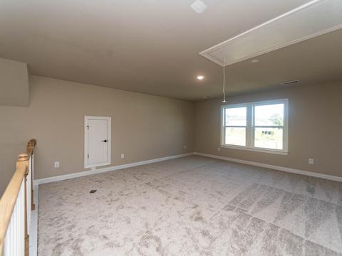 2310 Ditton Ct, Greer, SC 29650 photo 23