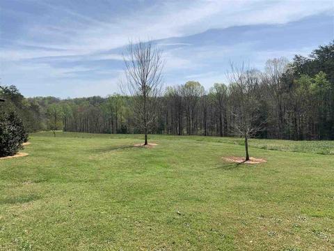 370 Loop Rd, Campobello, SC 29322 photo 36
