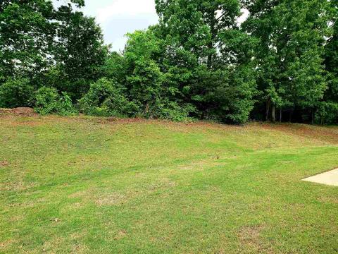 752 White Cloud Dr, Lyman, SC 29365 photo 18